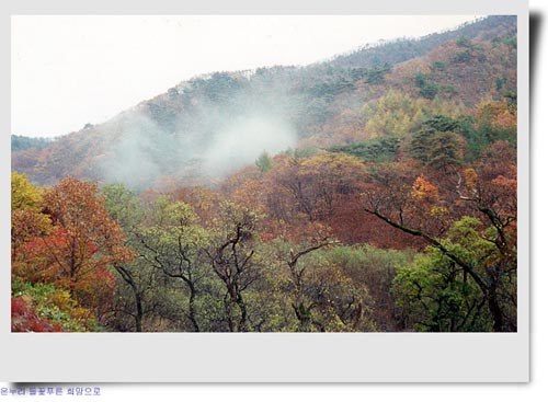 산안개와 물안개가 하나로 어우러지고... 